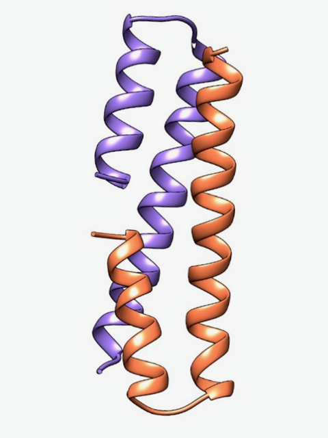 HiChemSynPro